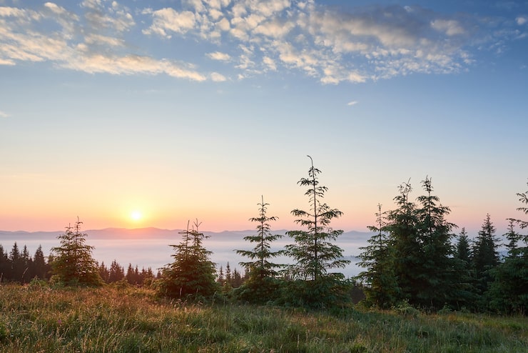 Escena natural tranquila con amanecer sobre montañas